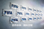 合作伙伴国际足联Logo墙 - FIFA标志